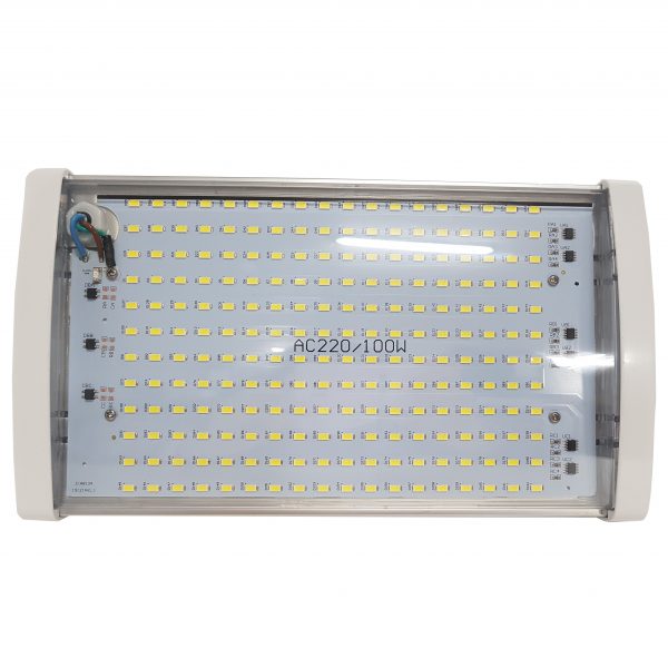 CL100W-AC (100W/AC220V)